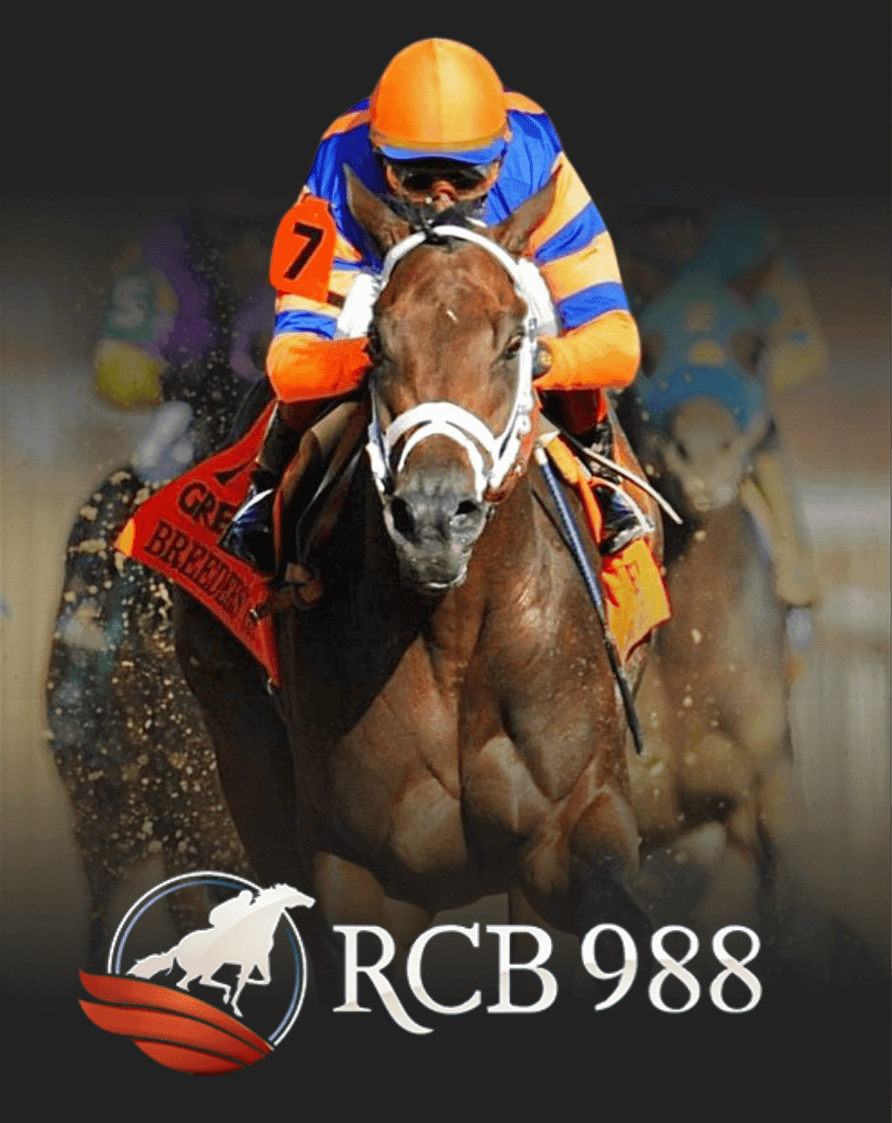 RCB988 Horse Racing